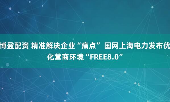 博盈配资 精准解决企业“痛点” 国网上海电力发布优化营商环境“FREE8.0”