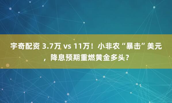 宇奇配资 3.7万 vs 11万!小非农“暴击”美元,降息预期重燃黄金多头?