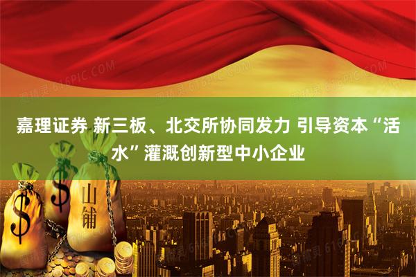 嘉理证券 新三板、北交所协同发力 引导资本“活水”灌溉创新型中小企业