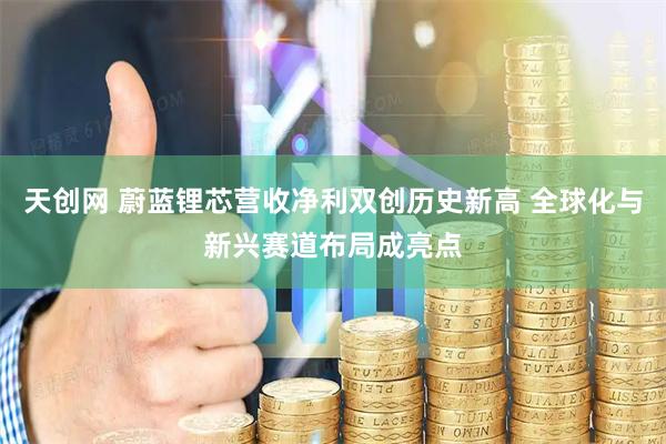 天创网 蔚蓝锂芯营收净利双创历史新高 全球化与新兴赛道布局成亮点